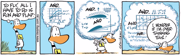 theory of run and flap colour cartoon