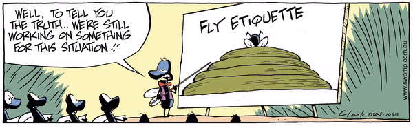 Fly Etiquette Colour