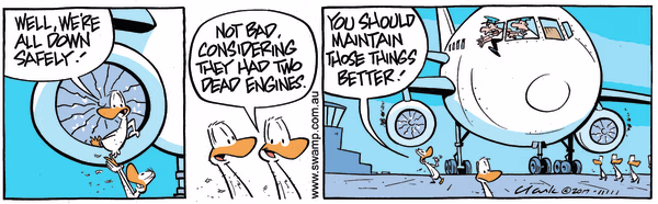 All Down Safely Cartoon Colour Cartoon