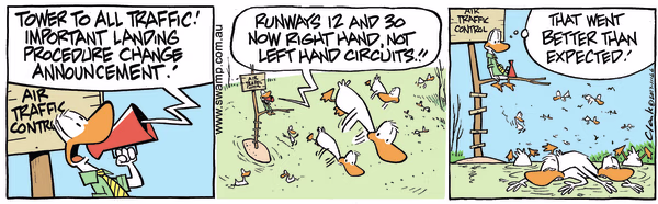 Landing Procedure Colour Cartoon