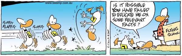 Relevant Facts Colour Cartoon