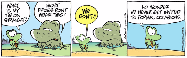 Colour Mort Frog Tie on Straight