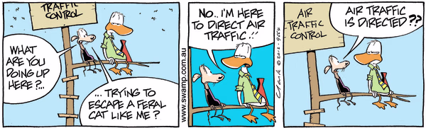 Escape a Feral Cat Colour Cartoon