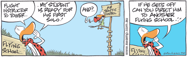 Another Flying School Colour Cartoon