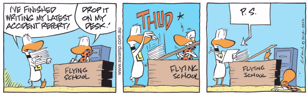 Latest Accident Report Colour Cartoon