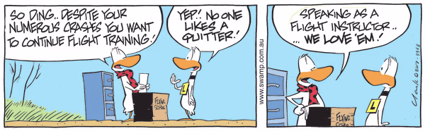 Continue Flight Training Colour Cartoon