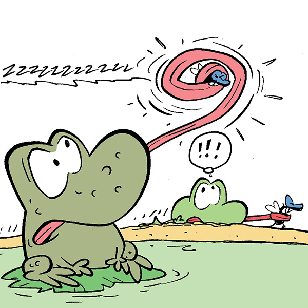 Wart & Mort Frogs Wart & Mort Frogs