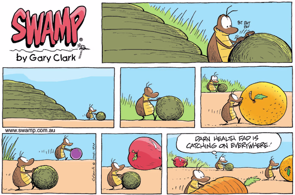 Health Fad Sunday Colour Cartoon